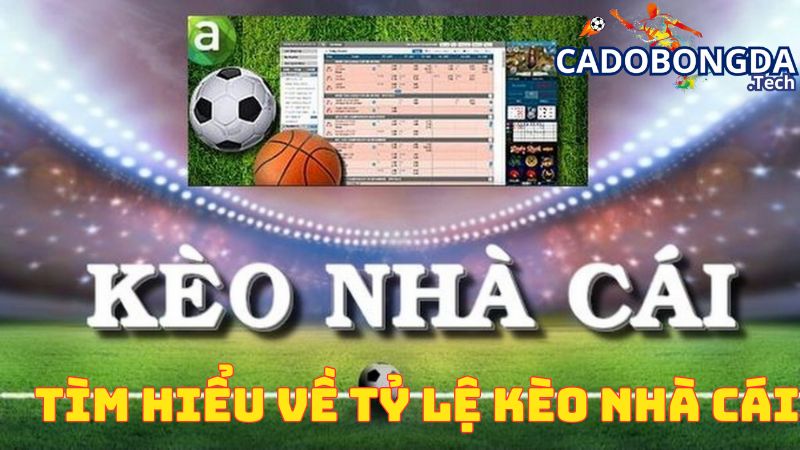 Tìm hiểu về tỷ lệ kèo nhà cái